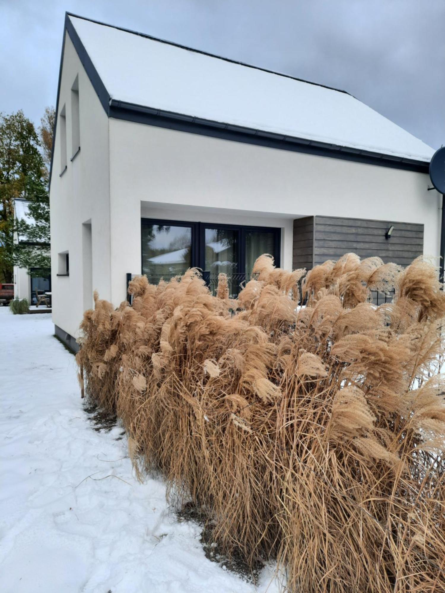 Sosnowe Zacisze Villa Sasino Exterior foto