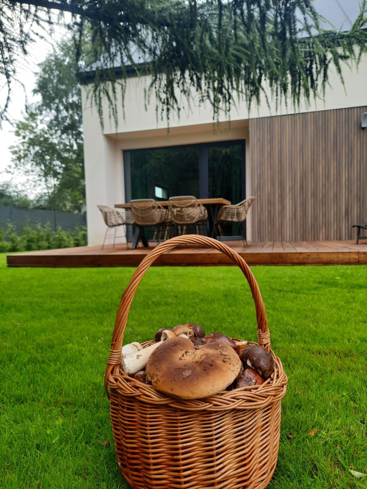 Sosnowe Zacisze Villa Sasino Exterior foto