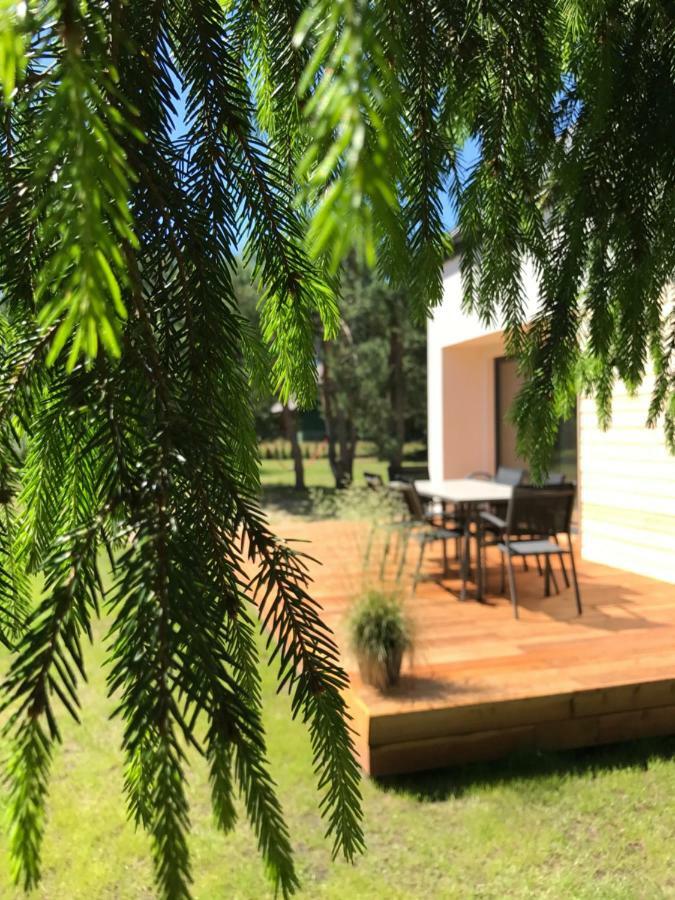 Sosnowe Zacisze Villa Sasino Exterior foto